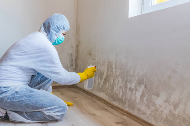 Licensed Commercial Mold Remediation service in Wilsonville, OR - WQB Mold Removal