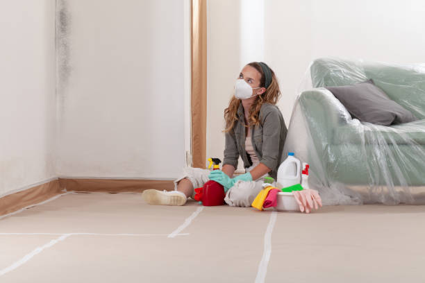Reliable Commercial Mold Remediation contractor in Wilsonville, OR by WQB Mold Removal