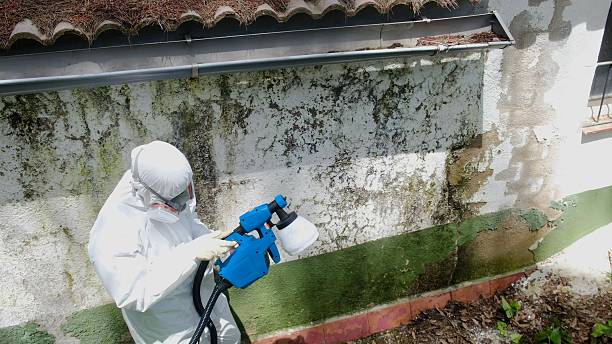 Top rated local Commercial Mold Remediation specialists in Wilsonville, OR